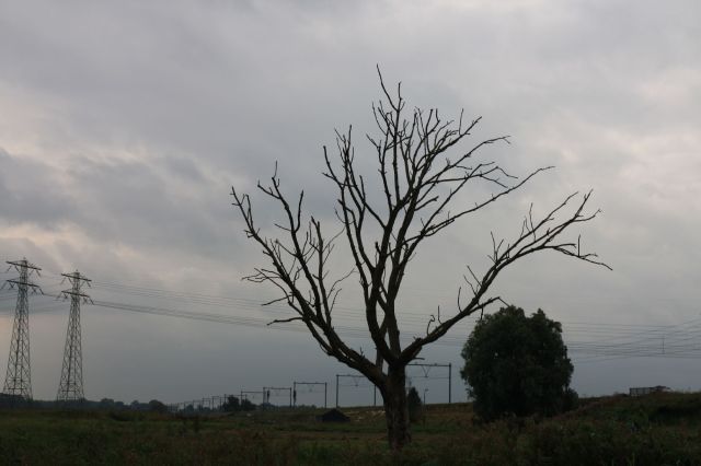 2009-08-Holandsko > obr (205)